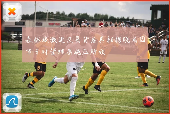 森林狼激进交易背后真相揭晓或因华子对管理层施压所致