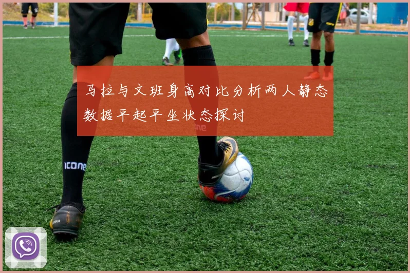 马拉与文班身高对比分析两人静态数据平起平坐状态探讨